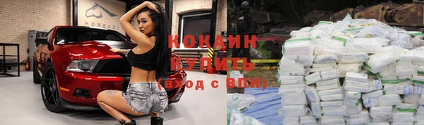 бошки Абинск