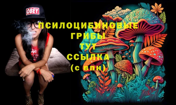 mdpv Алзамай