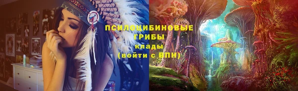 тгк Абаза