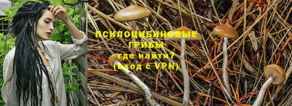 прущая мука Семилуки