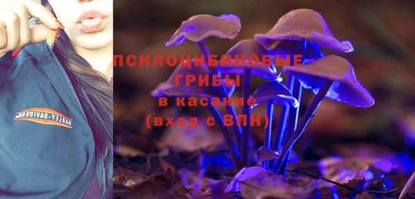 тгк Абдулино