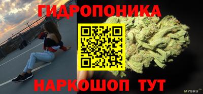 Альфа ПВП Кингисепп