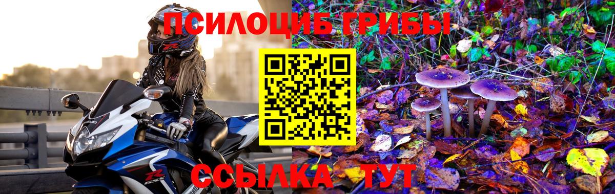 Киржач  купить закладку  Вход с VPN  Псилоцибиновые грибы Magic Shrooms  Псилоцибиновые грибы мицелий 